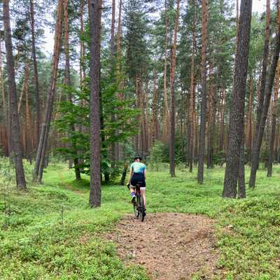 ścieżka rowerowa w lesie
