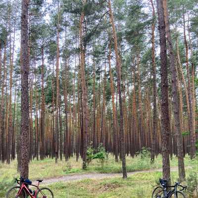 ultramaraton rowerowy rozroczański las